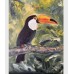 “Toucan – Exotic Bird” — Original Oil Painting by Marina Stognieva